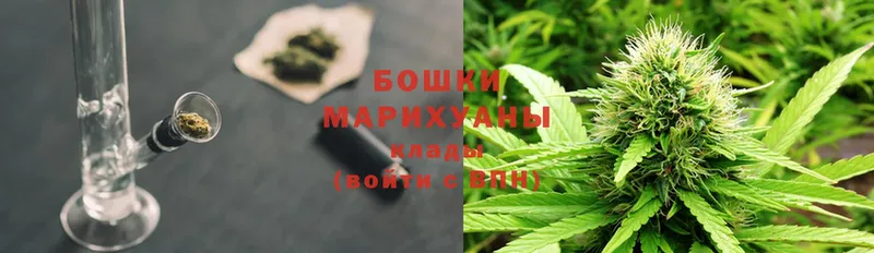 Шишки марихуана Amnesia  hydra как зайти  Биробиджан 